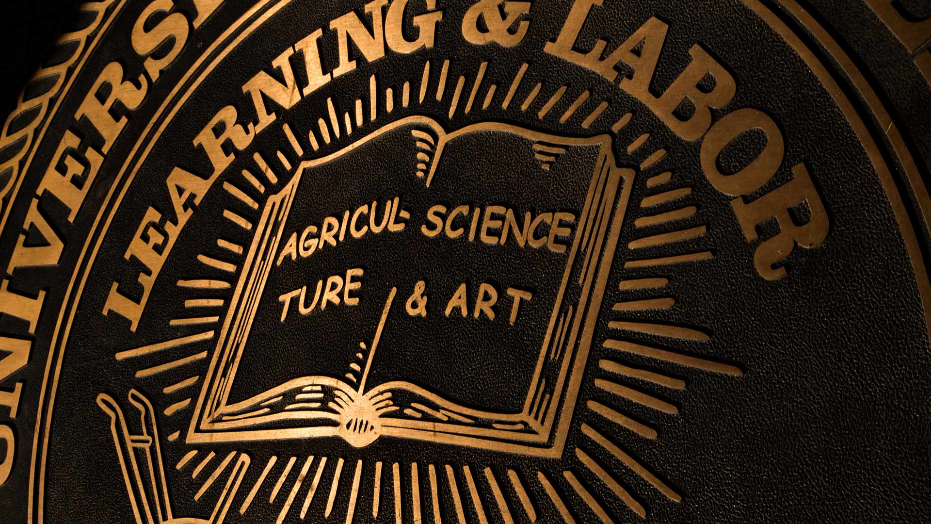 close-up of university seal