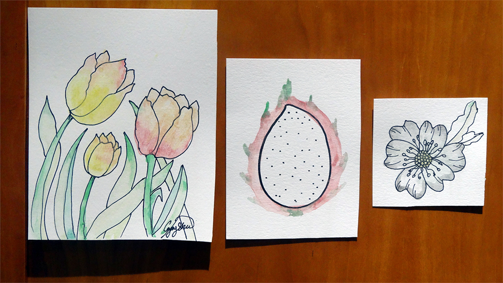Three simple watercolor paintings on card: tulips, dragonfruit, and a small flower