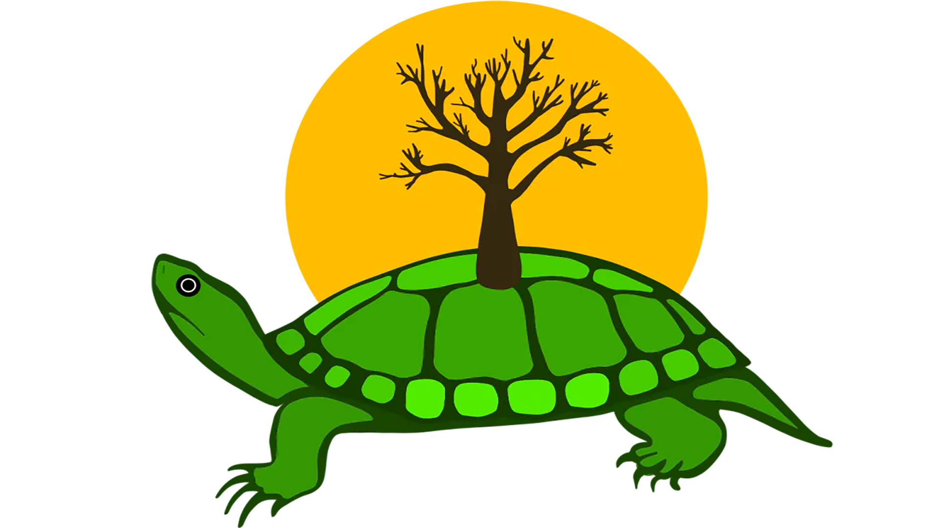 illustration of a green turtle with a tree growing out of the turtle's shell. A yellow circle behind the tree resembles the sun.