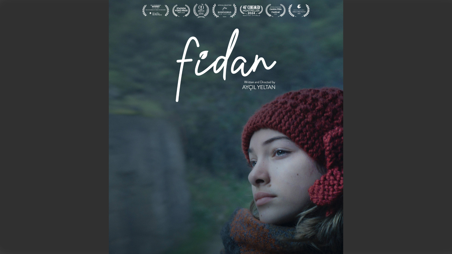 Movie poster featuring a young girl looking to the distance wearing a red hat