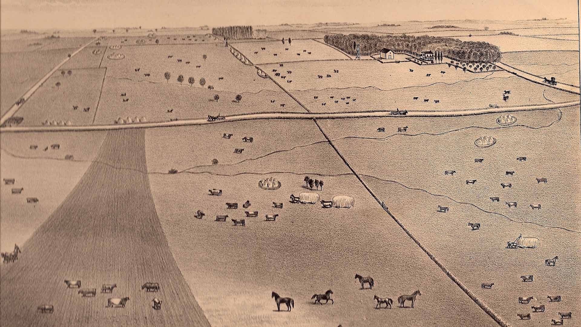 historical Illustration of farm fields with trees, cows, horses, and sheep.