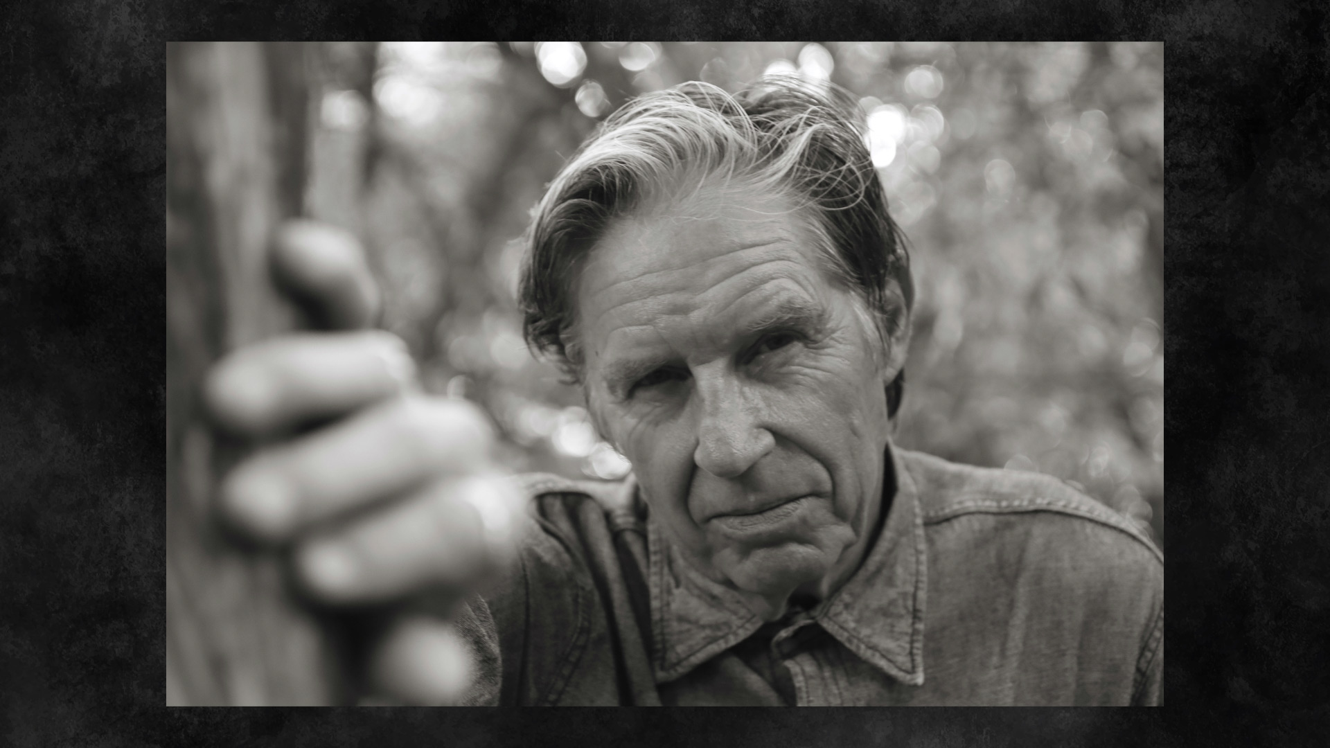 a closeup of a older man with a collared denim shirt peering at the camera amongst trees