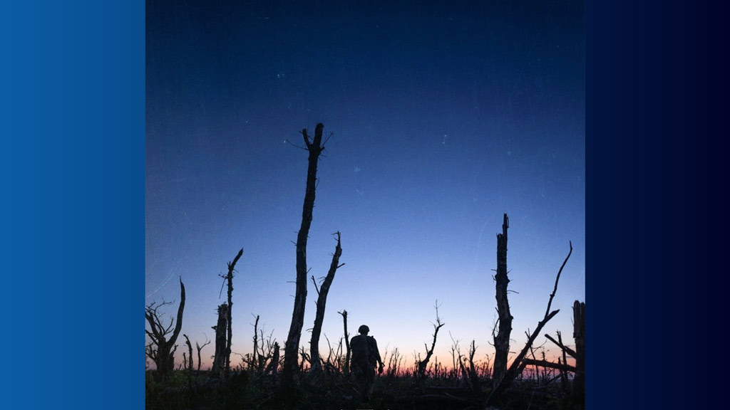 A picture showing a man walking in the forest at sunrise.