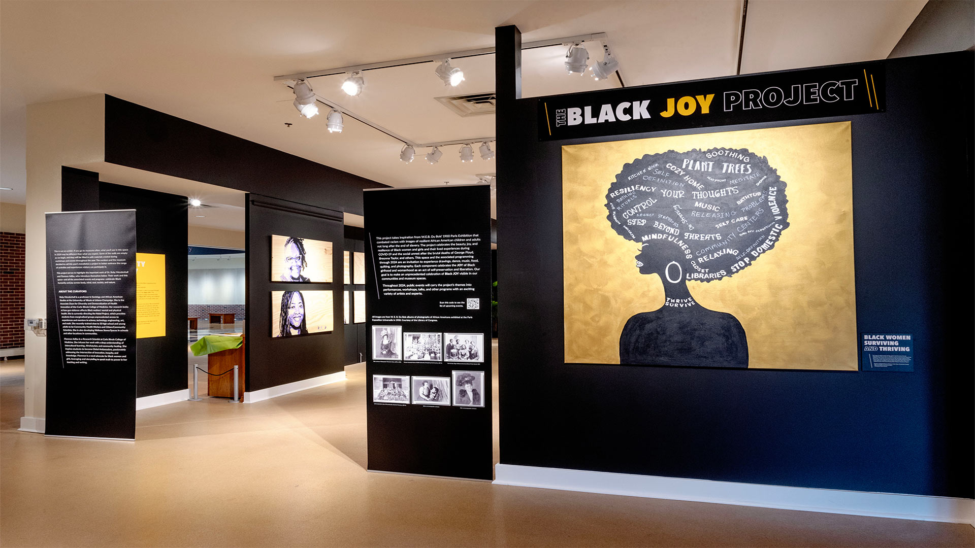 Black Joy Project overview