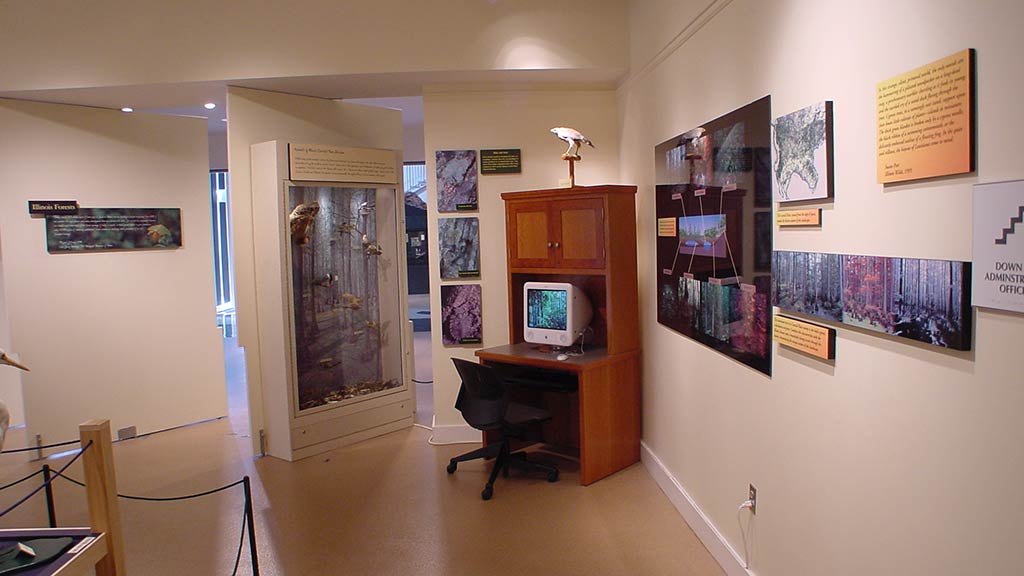 computers, chair, photos on the wall