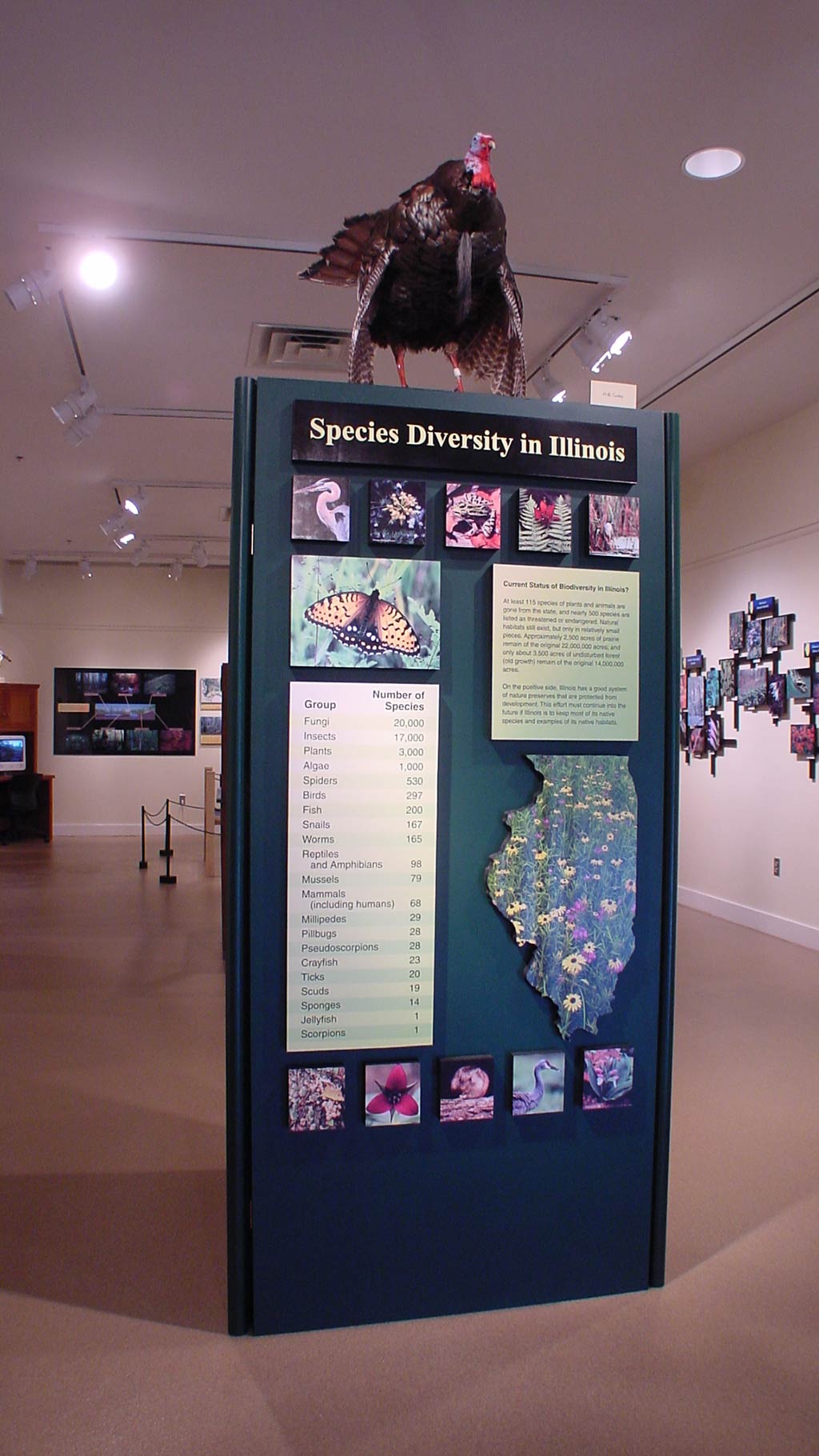 text panel reading 'species diversity in Illinois' which contains additional text and pictures of different animals on a pillar structure