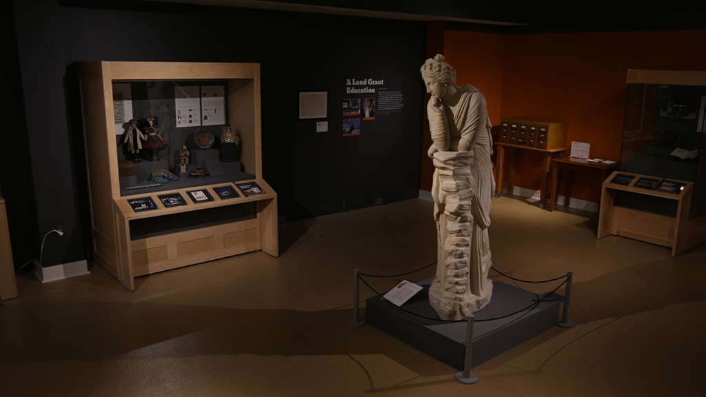overview shot with the statue in the middle, with a display case on the left, a wall behind it with text and pictures, and a label drawer and another display case on the right 