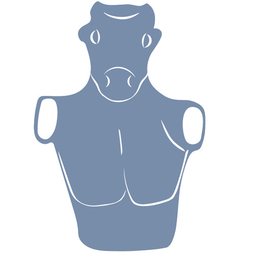 Icon of a minotaur
