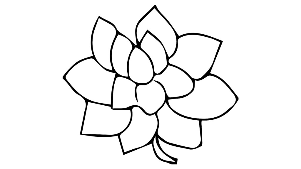 sketch of Lotus flower (Padma)
