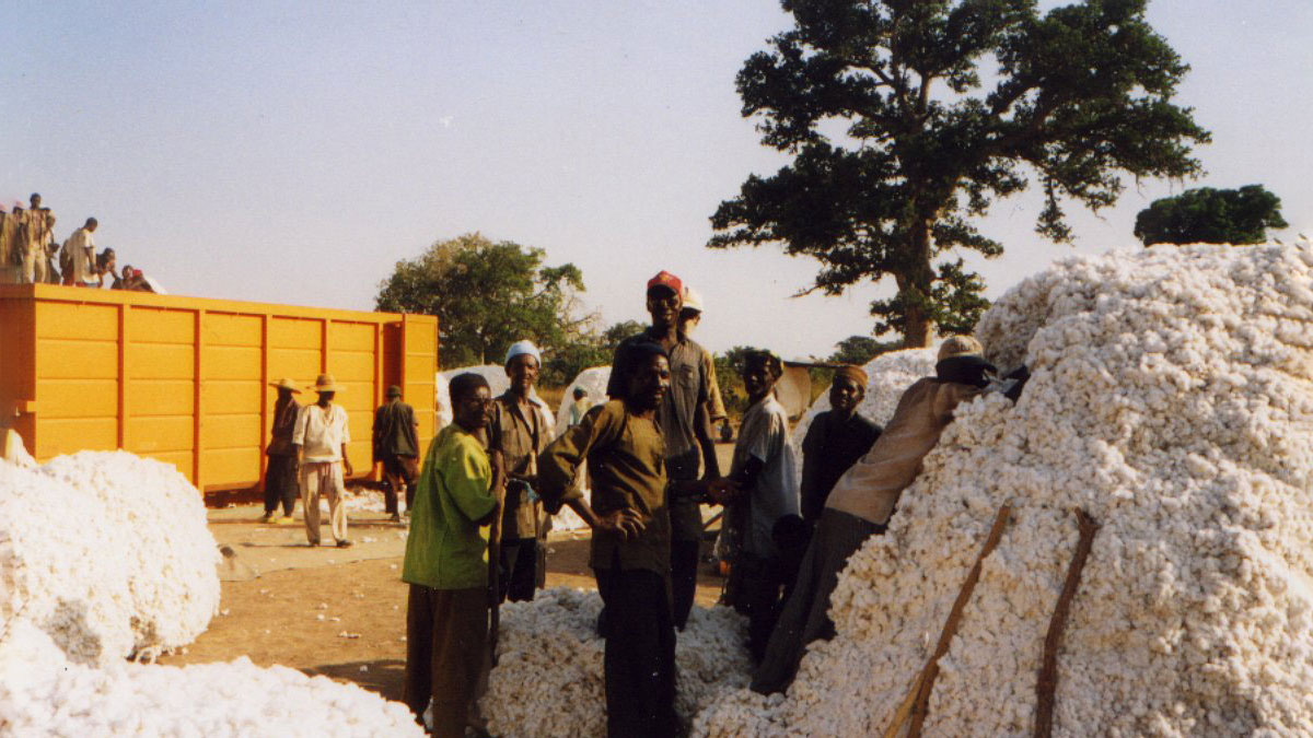 a few villagers surrounded by mounds of cotton
