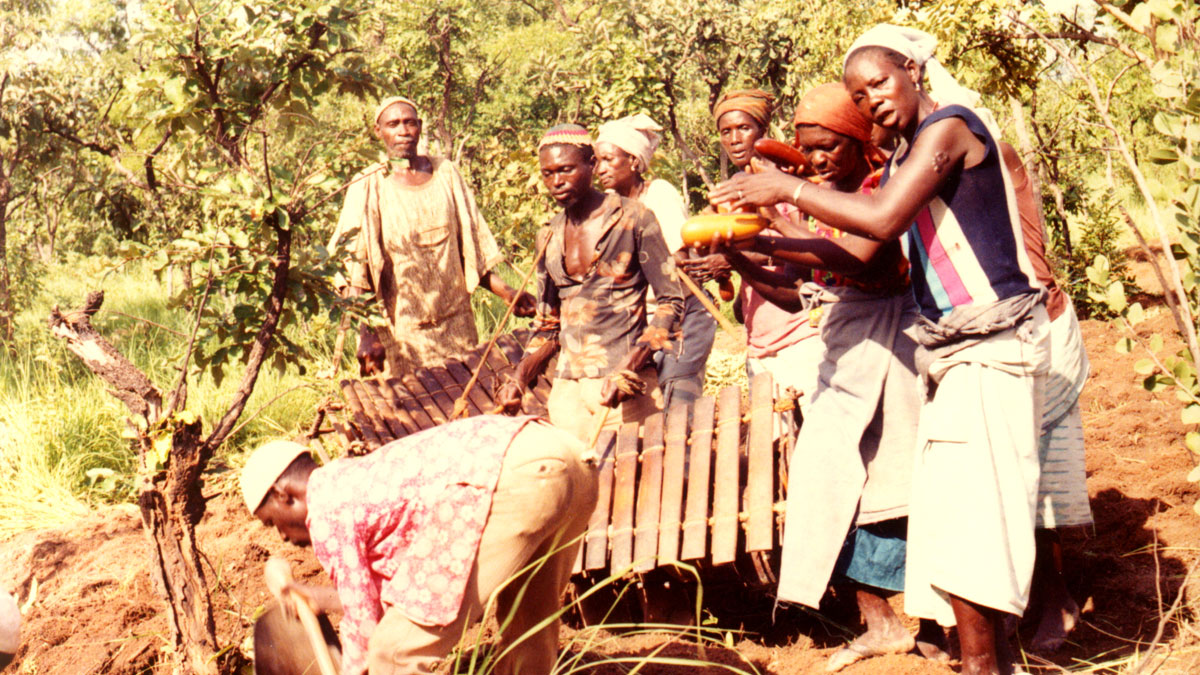 a group of musicians