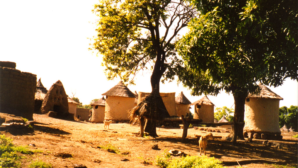 Villages: The Creation of a Village, Senufo-Tagba of West Africa, Online  Exhibits, Exhibits, Spurlock Museum, U of I