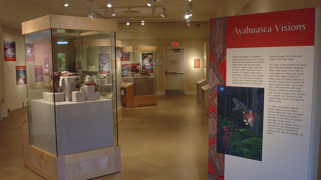 A photo of the Rainforest Visions exhibit