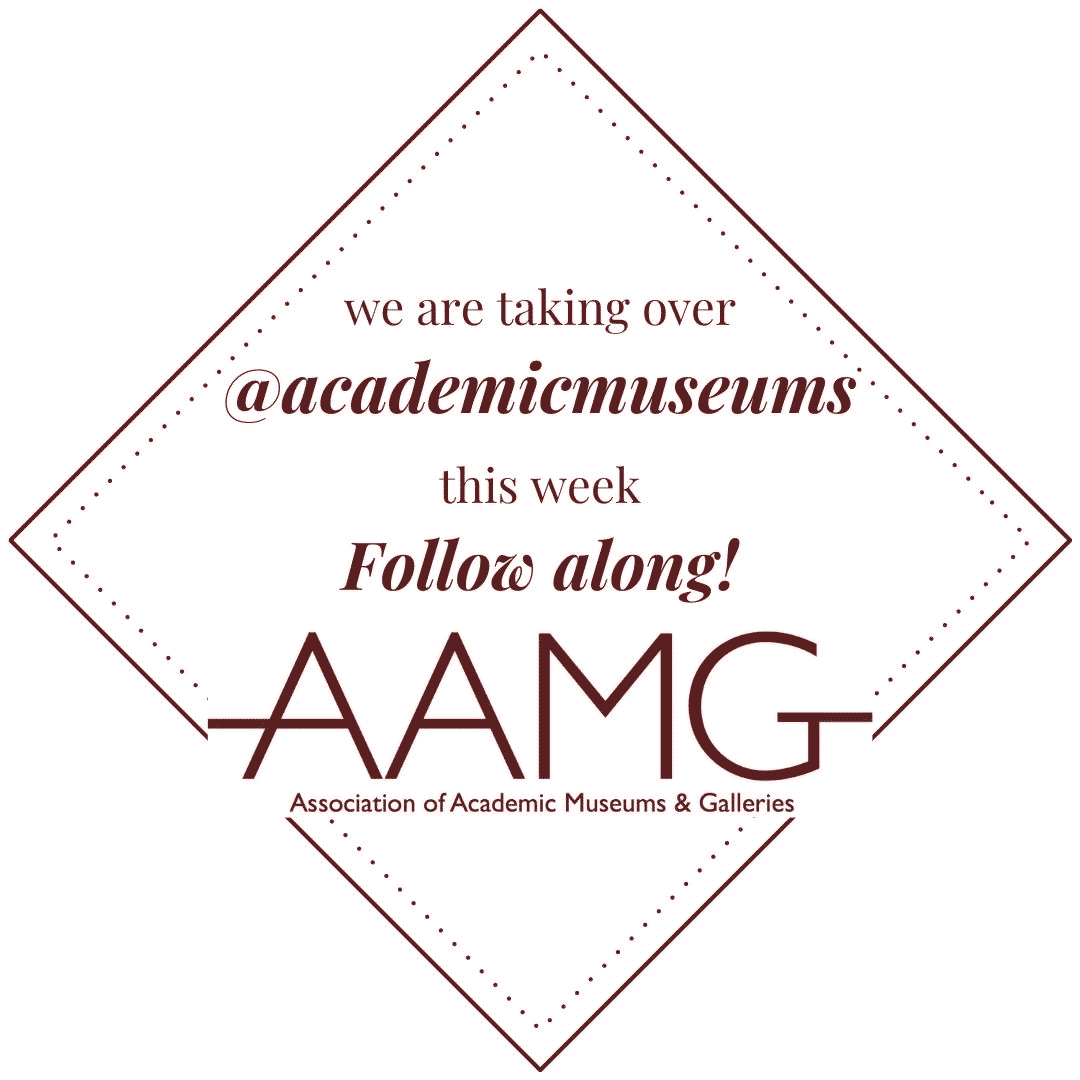 We are taking over Association of Academic Museums instagram this week. Follow along!